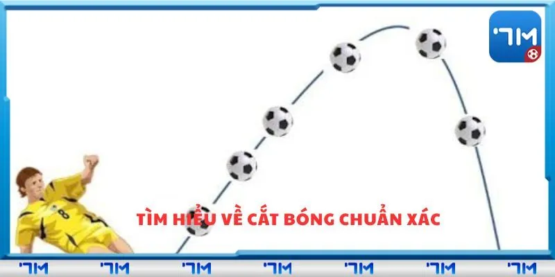 Tìm hiểu về cắt bóng chuẩn xác