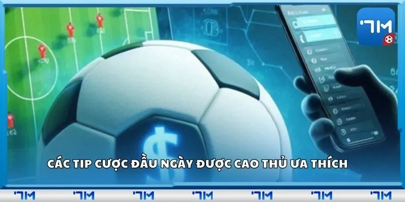 Các tip cược đầu ngày được cao thủ ưa thích