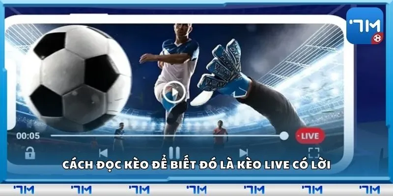 Cách đọc kèo để biết đó là kèo live có lời
