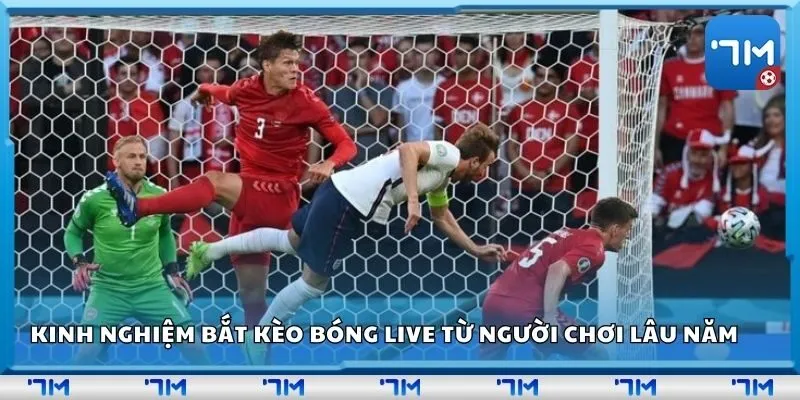 Kinh nghiệm bắt kèo bóng live từ người chơi lâu năm
