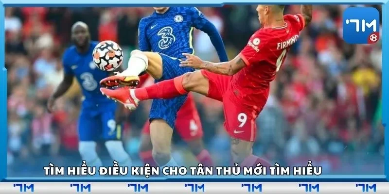 Tìm hiểu điều kiện cho tân thủ mới tìm hiểu