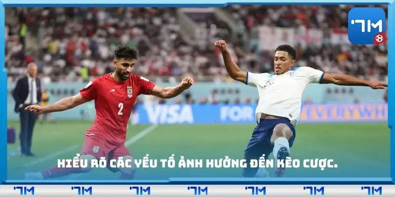 Hiểu rõ các yếu tố ảnh hưởng đến kèo cược.