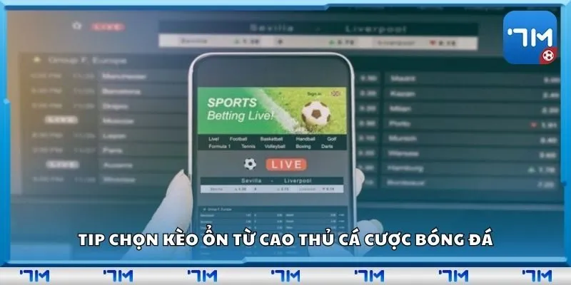 Tip chọn kèo ổn từ cao thủ cá cược bóng đá